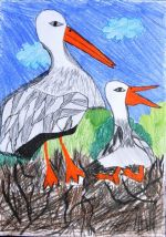 Bačová Michaela.jpg